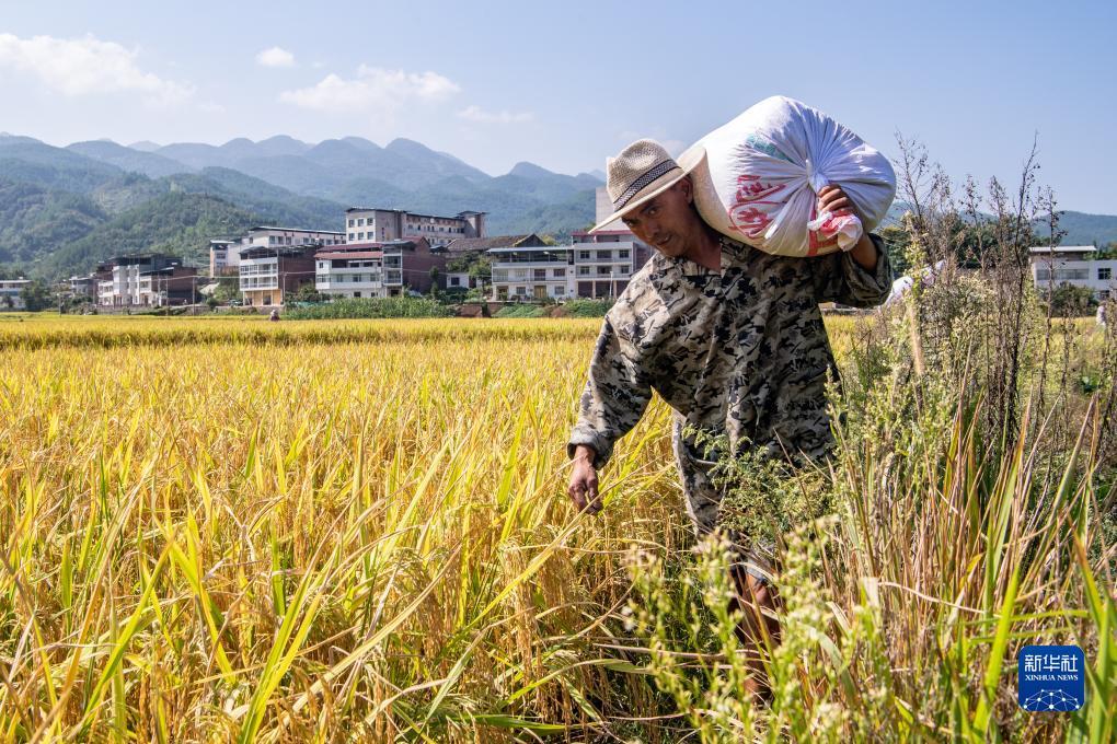 开户送体验金不用申请